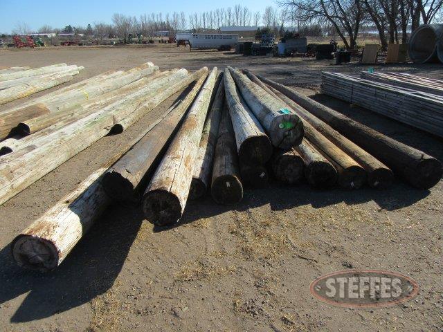 (15) Wood utility poles_0.JPG